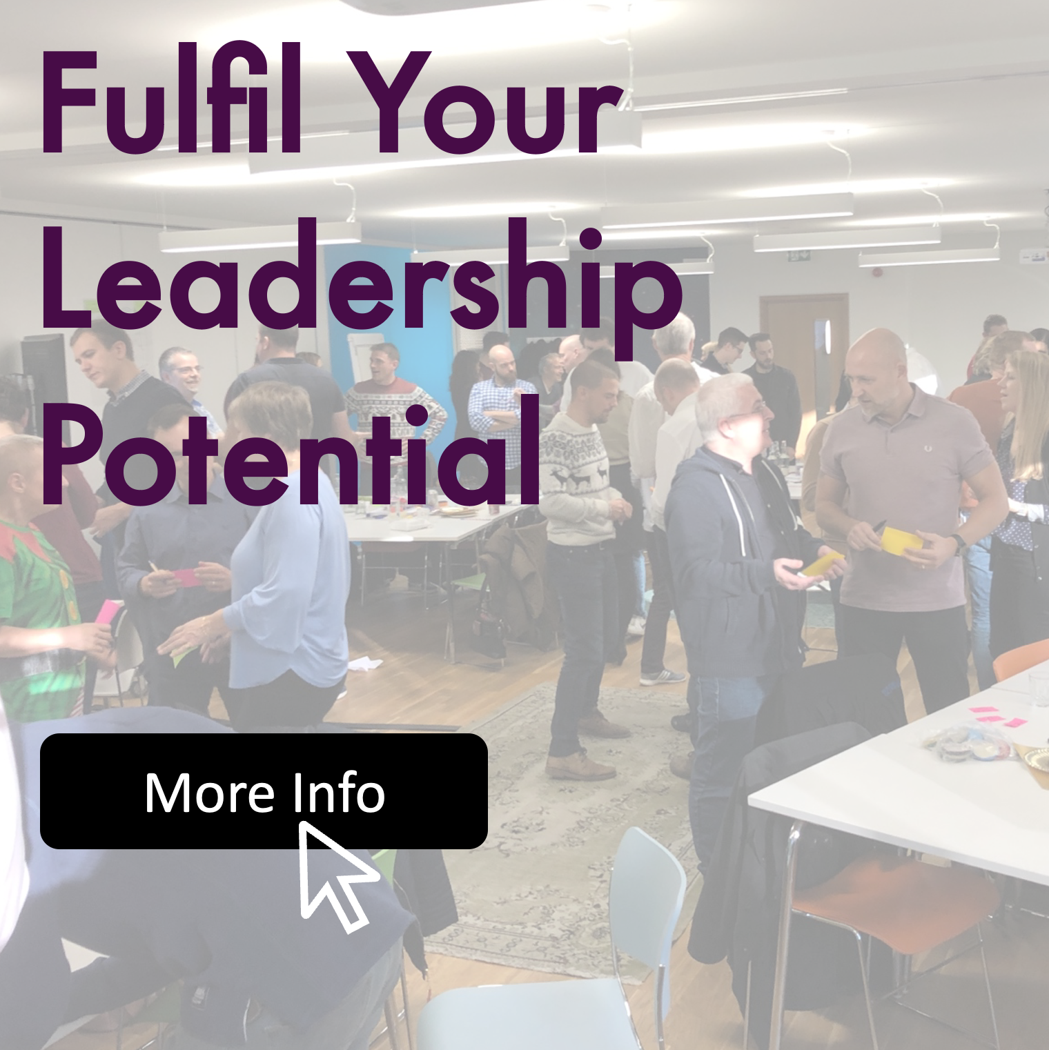 Fulfil your Leadership Potential with our course