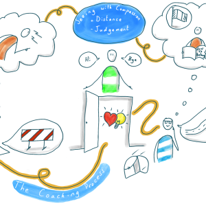 The Coaching Process